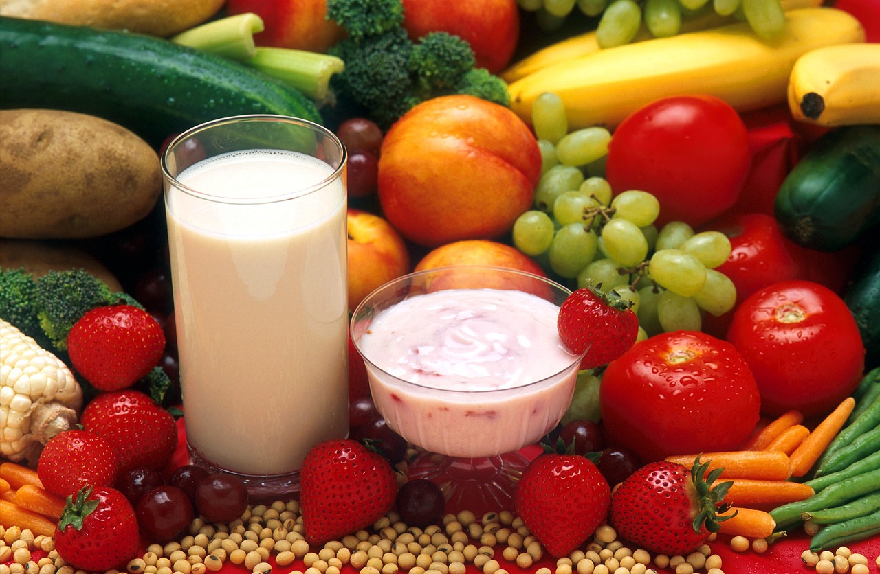 Orpheecole cycle 2 : l&rsquo;alimentation